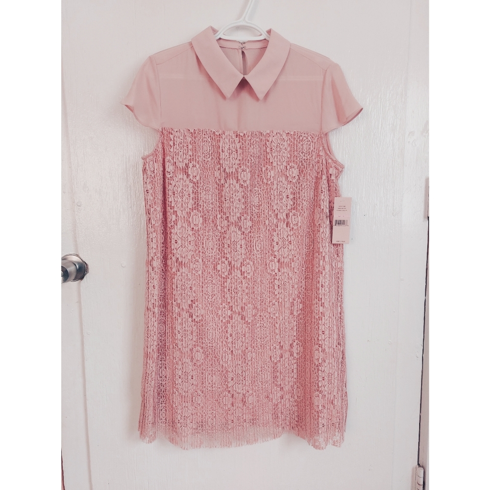 Barely Blush Dress